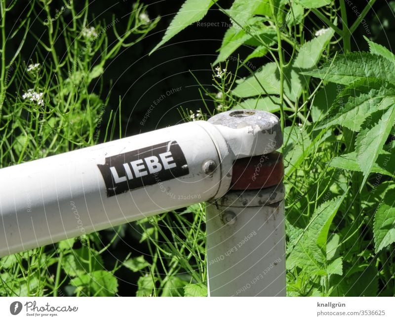 Sticker "Liebe" on a barrier railing, green plants in the background Love stickers Signs and labeling Letters (alphabet) Word Characters Typography letter