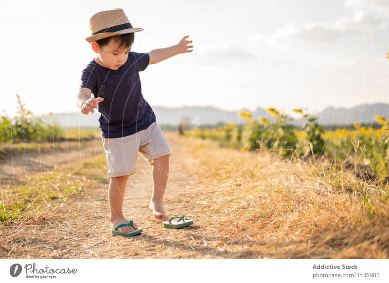 Happy little boy in green field cheerful sunflower excited nature carefree hat child smile joy childhood glad positive countryside freedom lifestyle adorable
