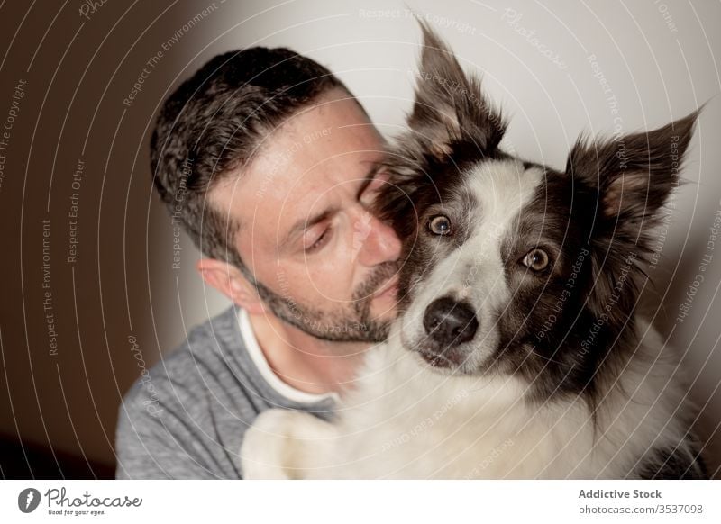 Bearded man spending time with adorable furry dog at home pet hug kiss best friend border collie together beloved animal happy leisure male purebred joy embrace
