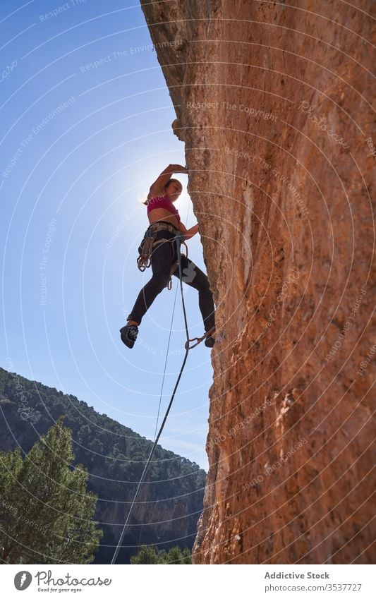 Strong female alpinist climbing up on rocky slope on sunny day woman rope equipment mountain extreme active adventure sport climber athlete activity nature
