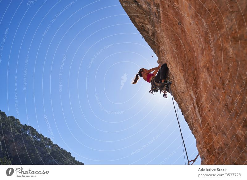 Strong female alpinist climbing up on rocky slope on sunny day woman rope equipment mountain extreme active adventure sport climber athlete activity nature