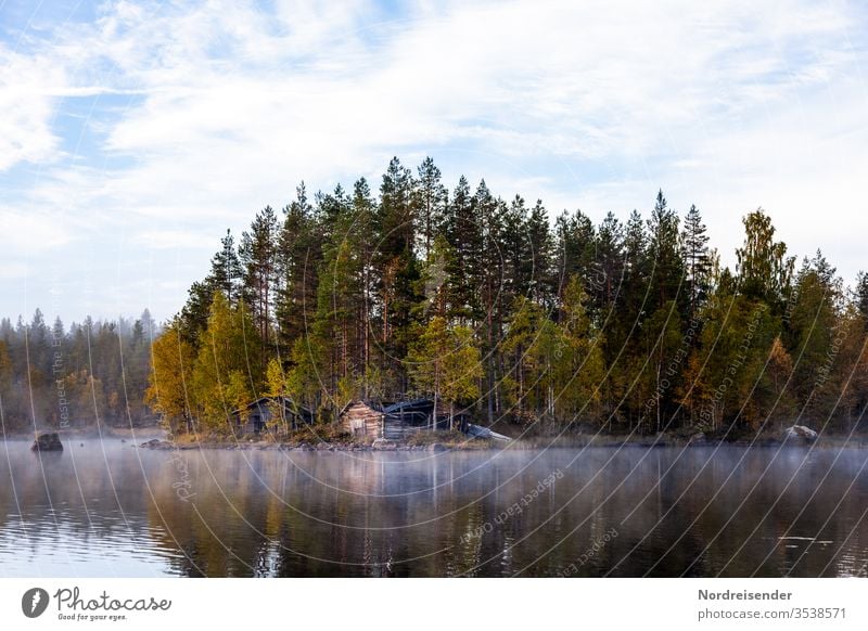 Swedish forests with fog in autumn Wide angle Panorama (View) Reflection Contrast Day Copy Space bottom Deserted Exterior shot Colour photo Calm Idyll