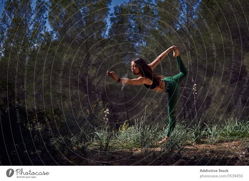 Fit athlete practices yoga in forest woman sportswear position exercise fitness balance swallow harmony stand pose morning slim healthy wellness sunny outdoors