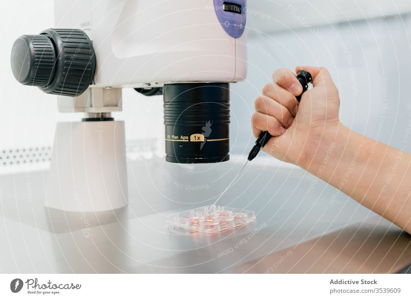 Doctor examining ovum through microscope doctor examine petri dish laboratory clinic inject uniform medical egg cell embryo modern medicine hospital