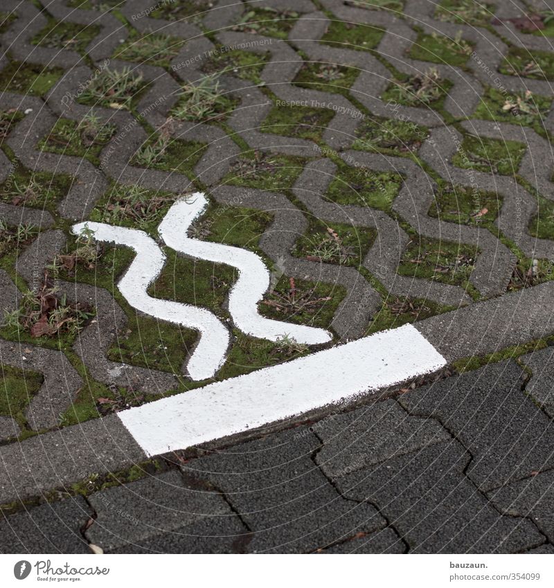 xx|. Garden Grass Moss Parking lot Motoring Street Lanes & trails lawn lattice grass paver Paving stone Stone Concrete Sign Signs and labeling Road sign Driving