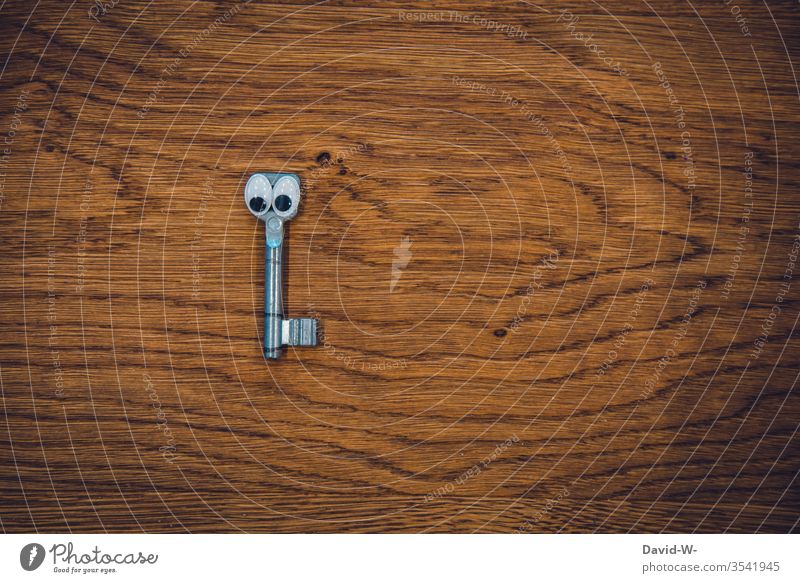 Key with eyes peer saucer-eyed Cute Life lives Kitsch tawdry Funny wittily Face pasted vivacious wood Lie Table completed open Open Key service creatively Metal