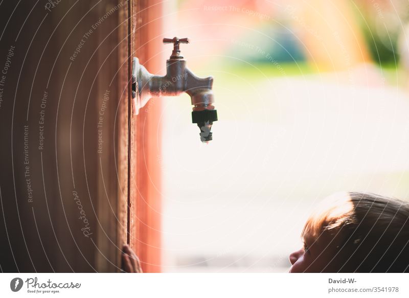 Child in summer Water shortage Toddler Garden Tap Drops of water Observe Cute water scarcity Drought look at too Wall (building) Wooden wall explore