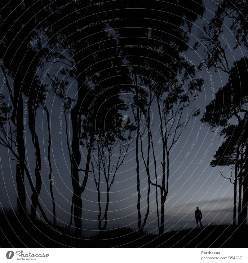 alone in the dark Human being Masculine Young man Youth (Young adults) Man Adults 1 18 - 30 years 30 - 45 years Nature Landscape Sky Night sky Stars Forest