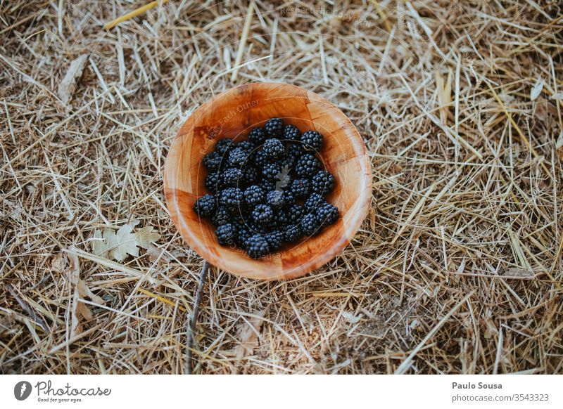 Bowl with blackberries Blackberry Fruit Summer flat lay Delicious Food Fresh Healthy Healthy Eating Red Colour photo Natural Sweet Diet Nutrition