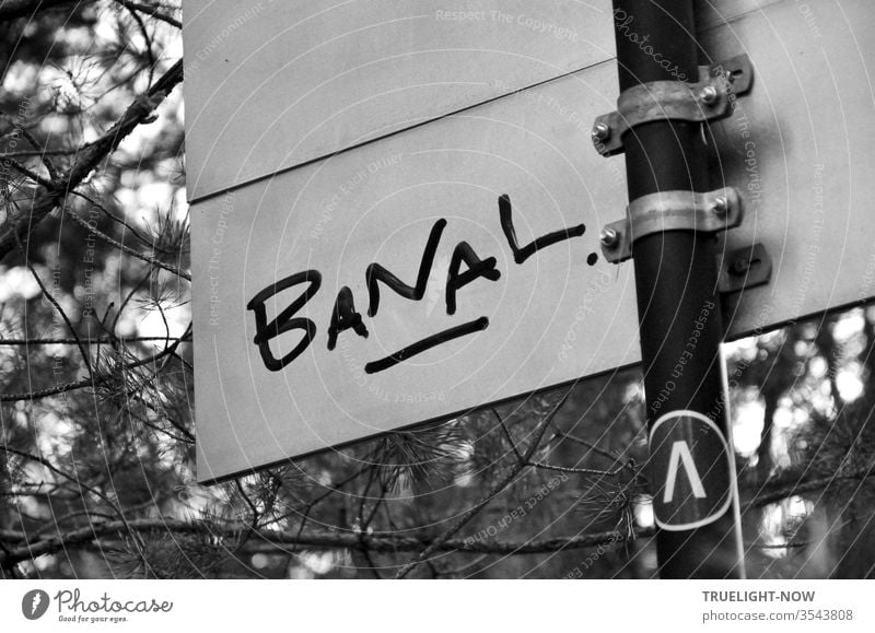 Take it literally... On the white back of a sign on the way through a pine forest, someone has written the word BANAL with a thick black felt-tip pen - in capital letters, underlined and with a dot.