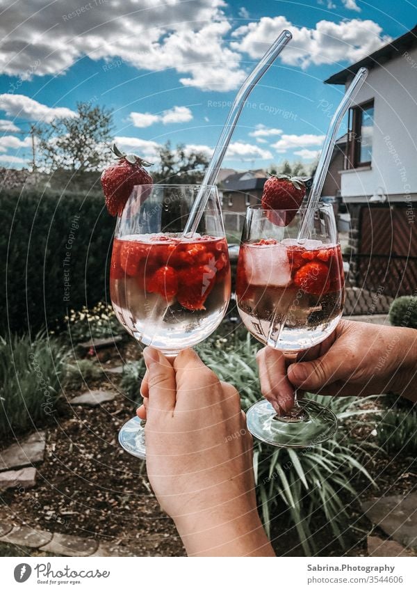 Wine glasses filled with sparkling wine, raspberries and strawberries on a summer day, Hesse, Sauerland, Germany Aperitif Sparkling wine Raspberry Strawberry