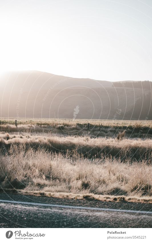 #As# Trucker Morning Dawn Morning fog in the morning The Orient morning light morning dew Meadow Sunrise New Zealand New Zealand Landscape Colour photo