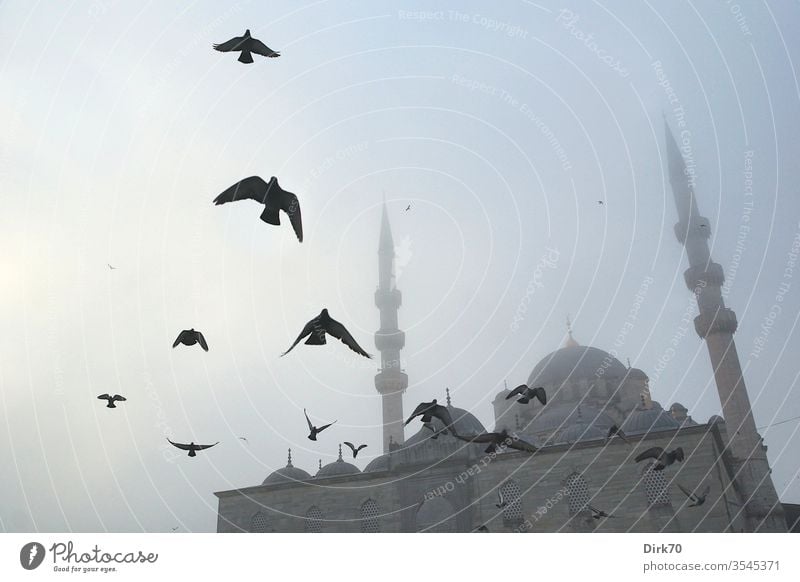 Yeni Cami at the Golden Horn in Istanbul in the morning fog Mosque yeni valid mosque Fog Shroud of fog Morning fog morning light Mystic Moody atmospheric