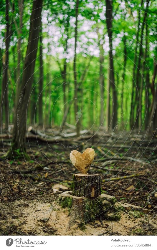 #S# Forest love Love Heart Love of nature Nature reserve close to nature Experiencing nature Environment Deserted Carve Craft (trade) Tree trunk Heart-shaped