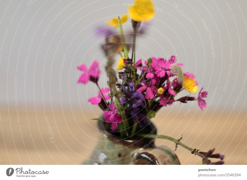 Buttercup, verbena sage, Carthusian carnation, A colourful, self-picked bunch of meadow flowers in a small vase wild flowers Vase variegated pink Yellow purple