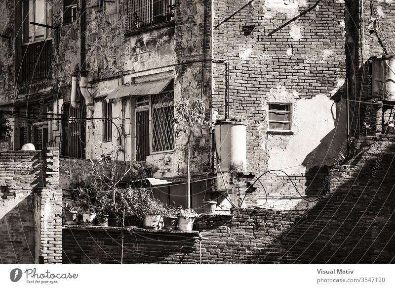 Backyards, balconies and windows of modest old brick houses - Black and White afternoon afternoon light architectonic architectural architecture background