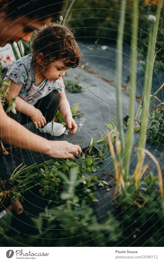Mother and Daughter gardening Tomato planting motherhood Child Together togetherness Lifestyle Family & Relations Infancy care Parents Love Toddler Happiness
