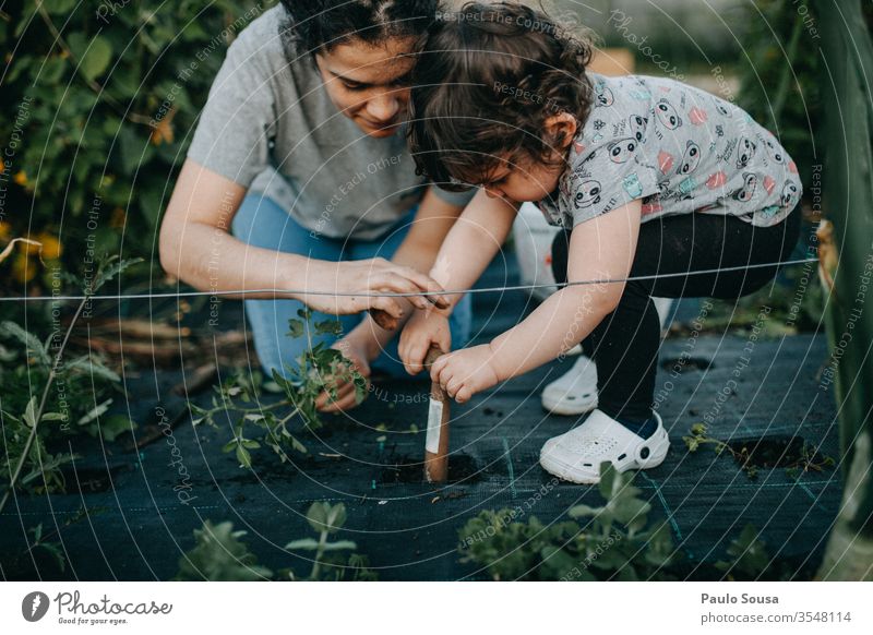 Mother and Daughter gardening motherhood Child 18 - 30 years 30 - 45 years 1 - 3 years Parents 3 - 8 years Exterior shot Woman Adults Family & Relations