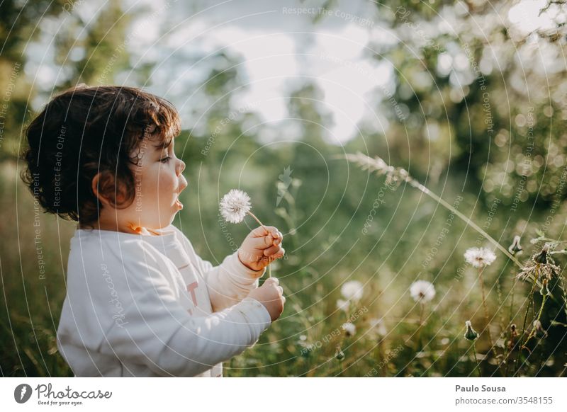 Child blowing dandelion childhood Nature Caucasian people 1 - 3 years Colour photo Infancy Human being Toddler 3 - 8 years Girl Portrait photograph Happiness