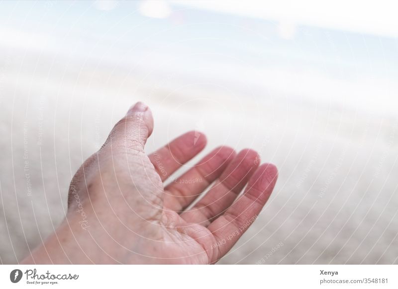 give a hand Hand Human being Woman Adults Colour photo Exterior shot Day Shallow depth of field Fingers Subdued colour Beach