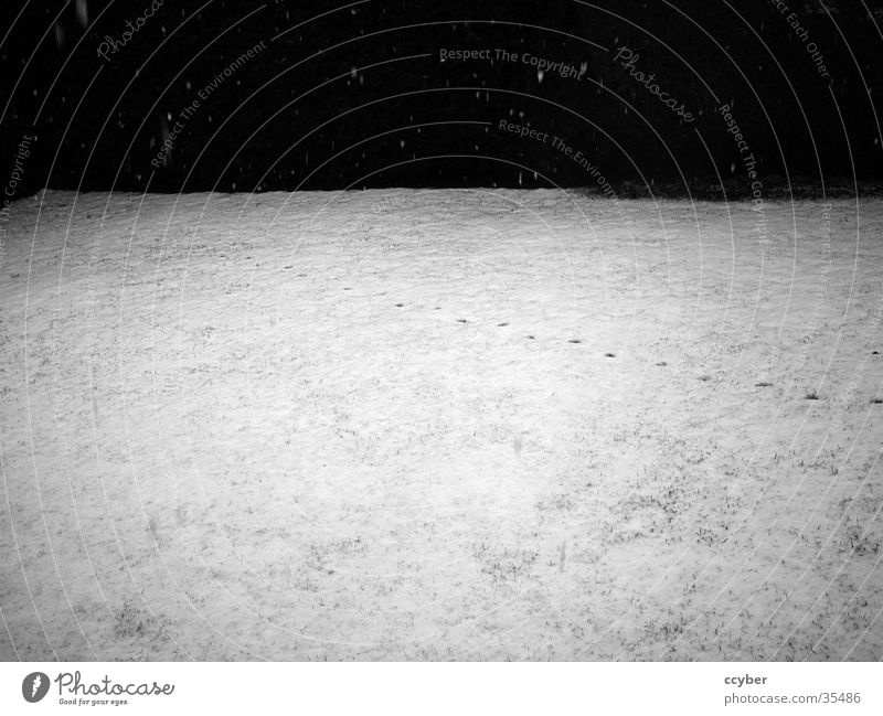 Tracks in the snow Black White Winter Cold Snow