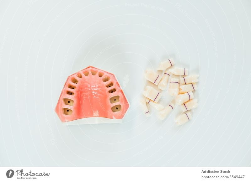 Closeup of a denture dental teeth dentist tooth mouth prosthesis dentistry health medicine medical healthy care prosthetic artificial smile white model plastic