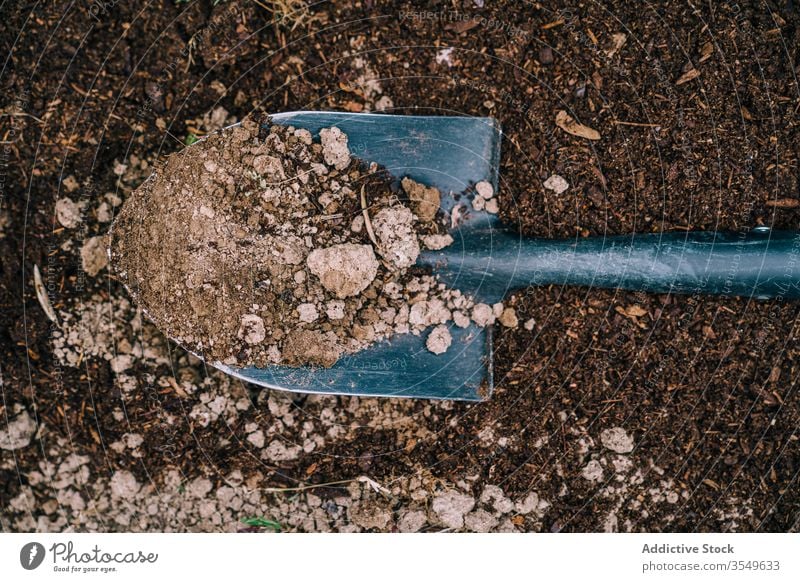 Shovel with soil in garden shovel ground instrument equipment farm dig tool cultivate spade countryside agriculture field daytime spring growth season plant