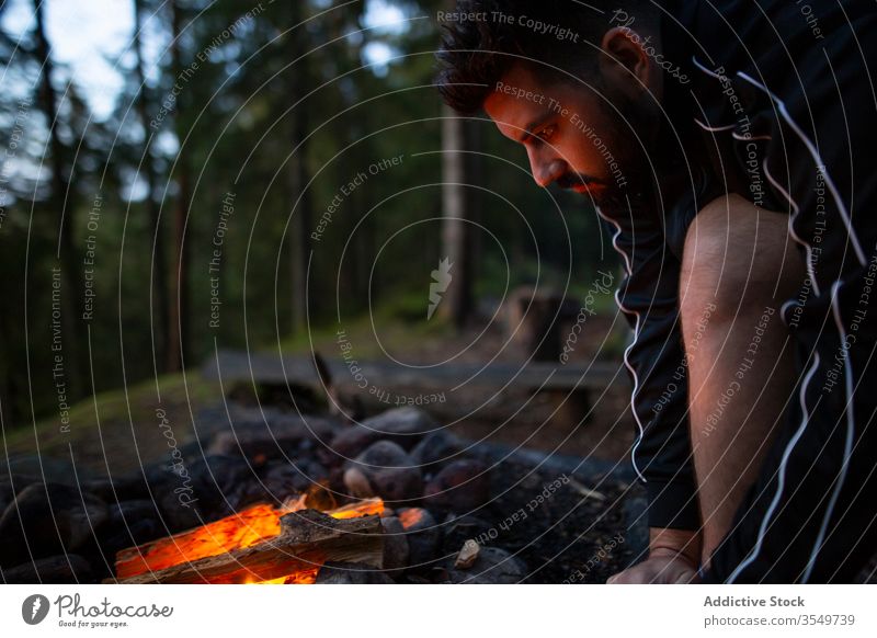 Male traveler near bonfire in forest man campfire tranquil camper woods warm up enjoy male weekend evening relax nature sit chill flame bright guy thoughtful