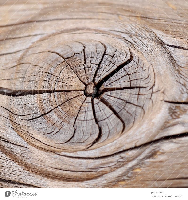 sterntaler Holz trocken Astloch sternförmig Muster Risse Nahaufnahme