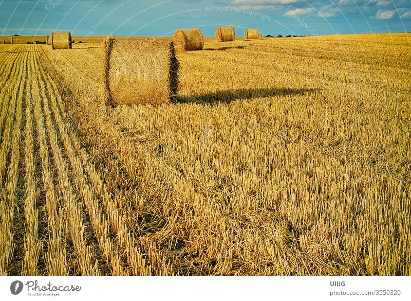 Bales of straw on a harvested grainfield at the end of summer. bale bale of straw grain field rural area land crop countryside agriculture landscape nature