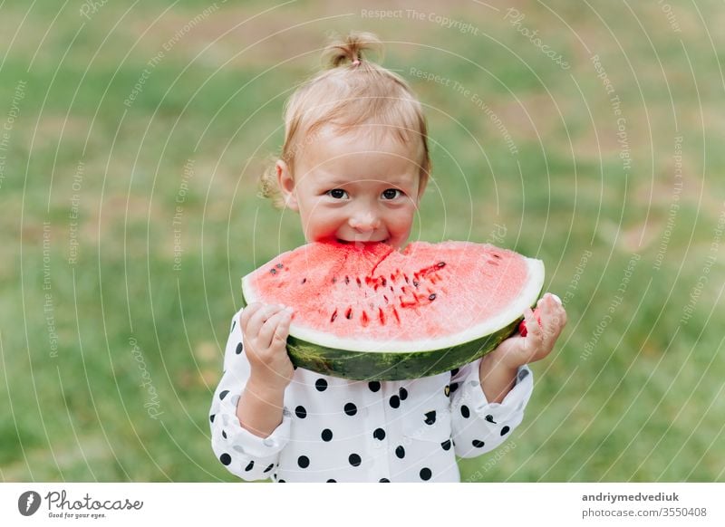 cute little girl eating big piece of watermelon on the grass in summertime. Adorable little girl playing in the garden biting a slice of watermelon. selective focus