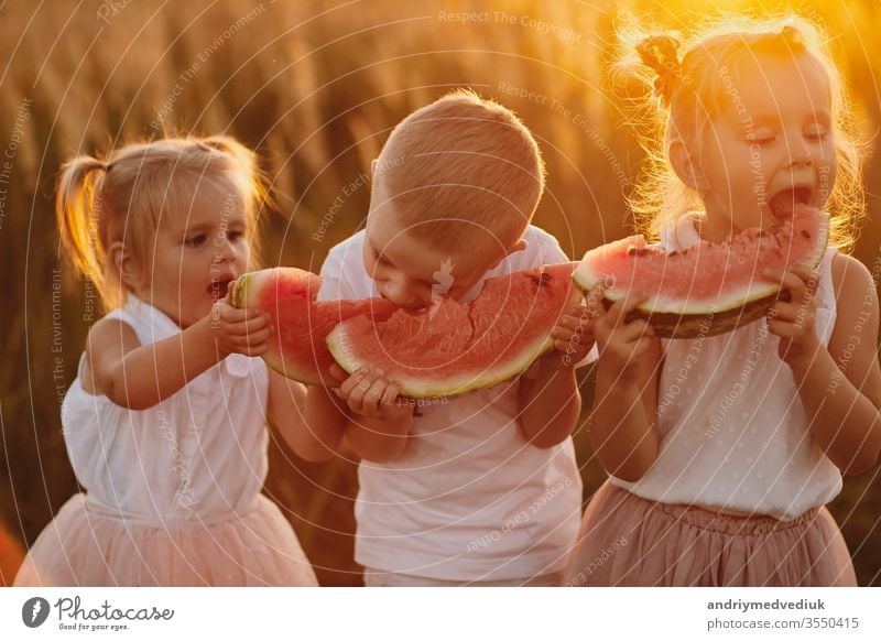 happy kids eating watermelon. Kids eat fruit outdoors. Healthy snack for children. Little girls and boy playing in the garden biting a slice of water melon. warm and sunny summer day
