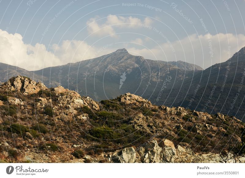 Mountain peaks in Corsica in summer outlook Mediterranean Panorama (View) ascent Mediterranean sea Vacation & Travel Colour photo Nature Exterior shot Tourism