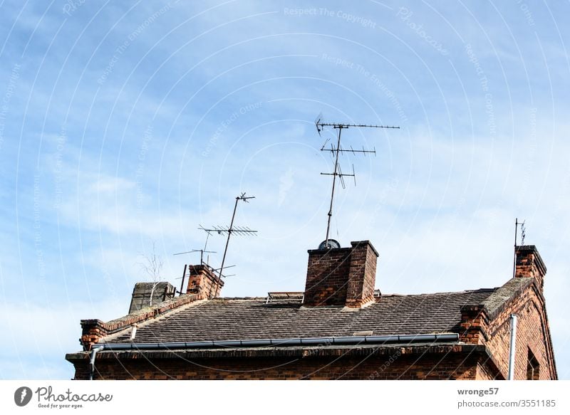 Analogue TV antennas antenna forest House (Residential Structure) Roof Tiled roof old house analog TV TV reception television aerial Analog Age 1st program