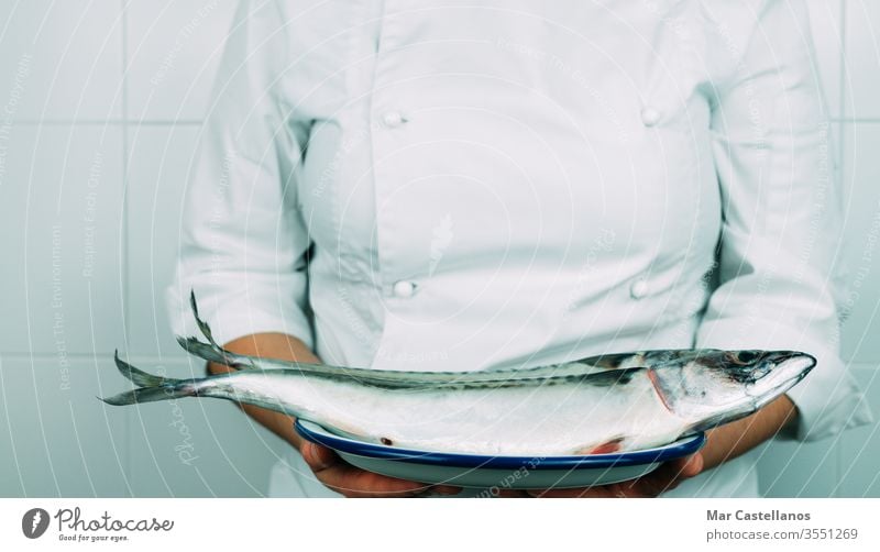 Woman in cooking outfit shows a dish with fresh fish. Concept of the kitchen. chef de cuisine Fish Mackerel Fresh Dish by hand person Professional cake natural