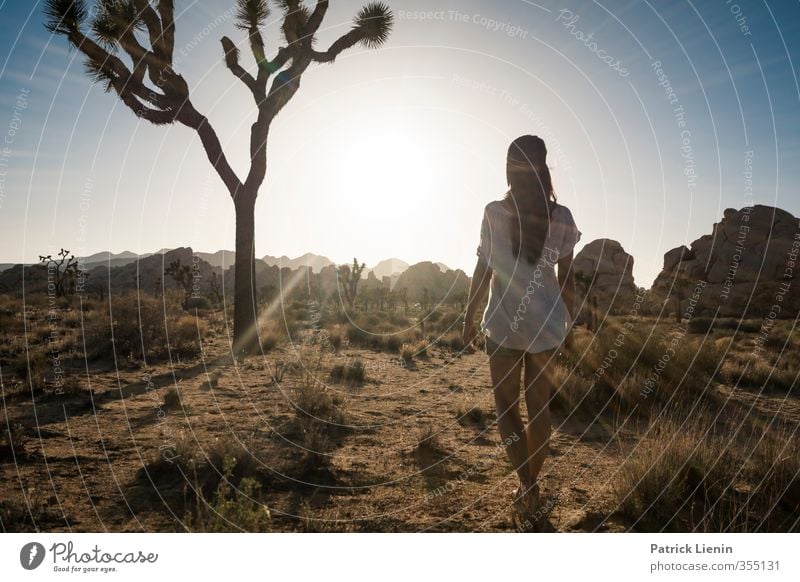 Phoenix Human being Feminine Woman Adults Body 1 Environment Nature Landscape Elements Sand Air Sky Sun Solar eclipse Sunrise Sunset Sunlight Summer Climate