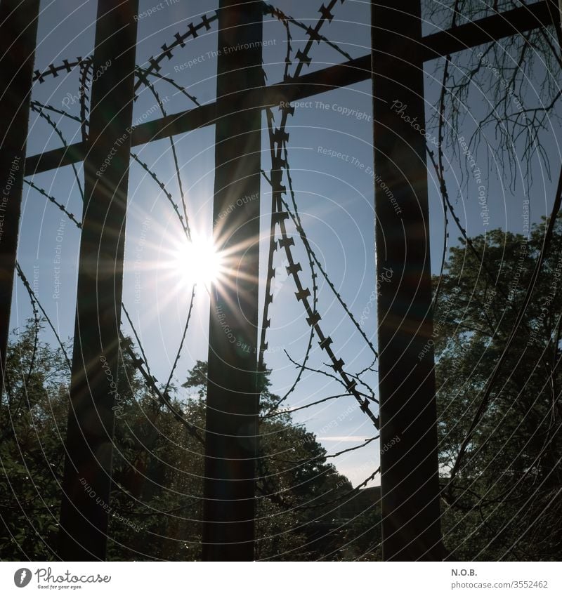 Sun behind bars and barbed wire Grating Metal Exterior shot Deserted Day Safety Protection Fence Colour photo Barrier Border Bans Barbed wire Captured Wire Fear