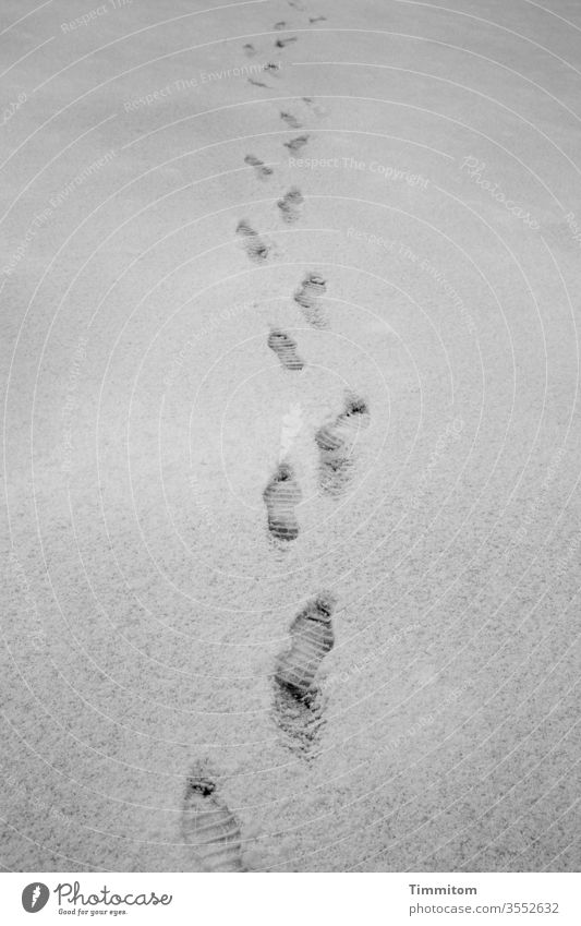 Predecessor in winter Snow Winter footsteps shoe profile Appearance Pursue Going chill Tracks Footprint Exterior shot Black & white photo