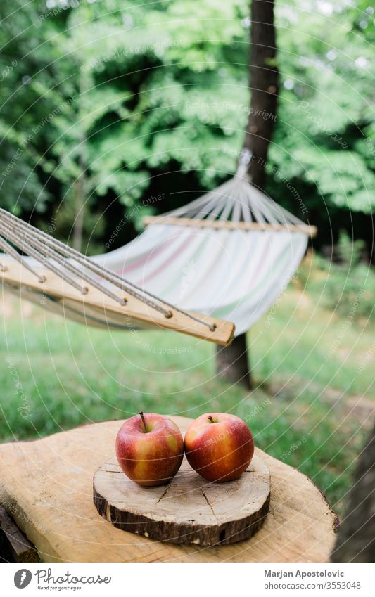 Cradle net in the backyard by the forest adventure apples calm concept cradle easy enjoy freedom furniture garden green greenery hammock healthy holiday idyllic
