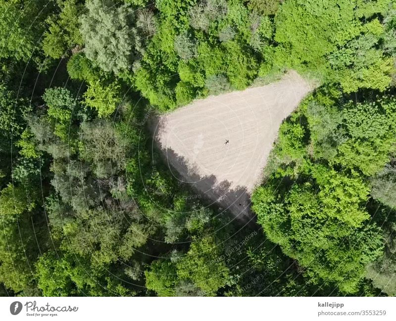 clearing Forest Nature Arable land Agriculture Nature reserve Love of nature UAV view Drone pictures droning Drone Photography Bird's-eye view huts Mixed forest
