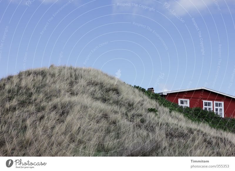 Together. Vacation & Travel Environment Plant Sky Beautiful weather North Sea Dune Denmark House (Residential Structure) Vacation home Facade Window Roof