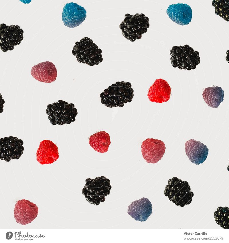 berries and raspberry falling in different colors arrangement background black blackberry close up close-up closeup concept cut out cutout decorative design