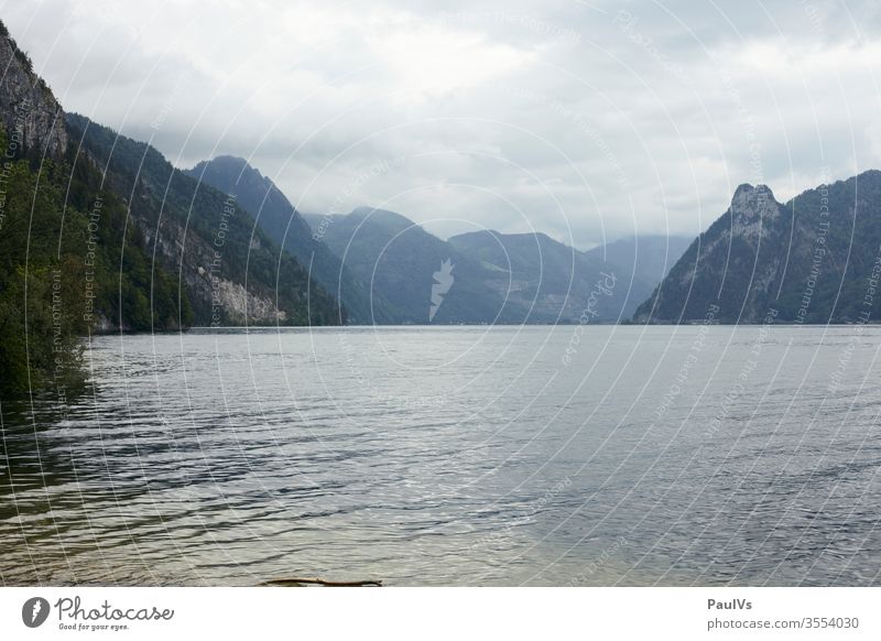 Traunsee view in direction Ebensee below the Traunstein bank Lake Traunsee shore cloudy Water Salzkammergut Austria ostalpen vacation Mountain Nature