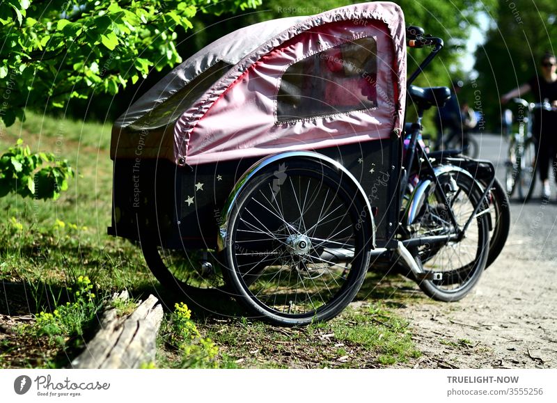 Lasten Fahrrad, an environmentally friendly ecological transporter for children and cones in a convertible version with a pink soft top for trips into nature