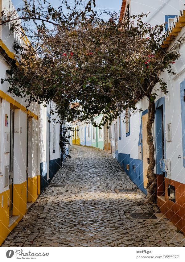 small alley with colourful houses and a tree in Ferragudo, Portugal Europe Alley Old town Vacation & Travel House (Residential Structure) Architecture Deserted
