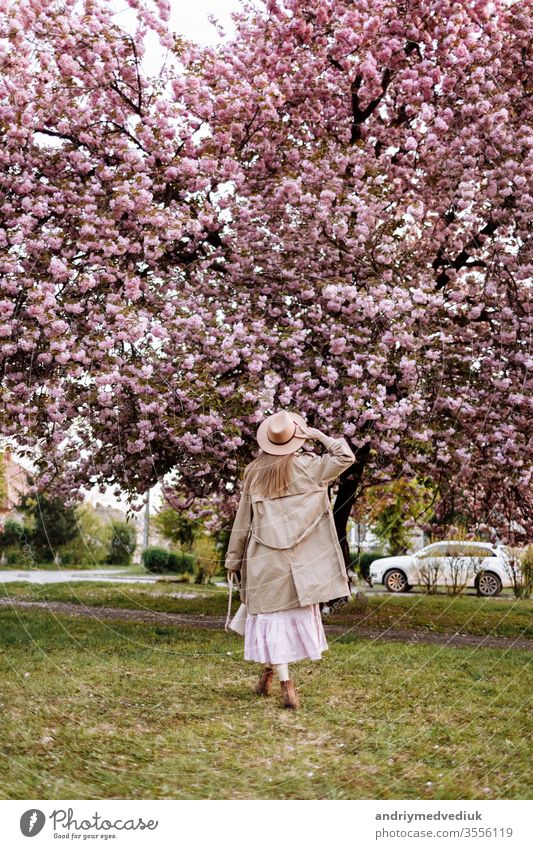 Beautiful woman stands with her back near the sakura trees. Woman in hat, dress and stylish coat. Pink flowers blooming in Uzhhorod, Ukraine. Blossom around. Spring time concept
