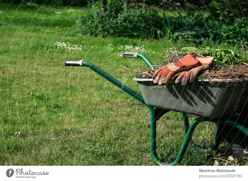 Wheelbarrow with weeds and gardening gloves Garden Gardening Exterior shot Colour photo Plant green Growth Nature Agriculture Farm natural Organic Earth Ground