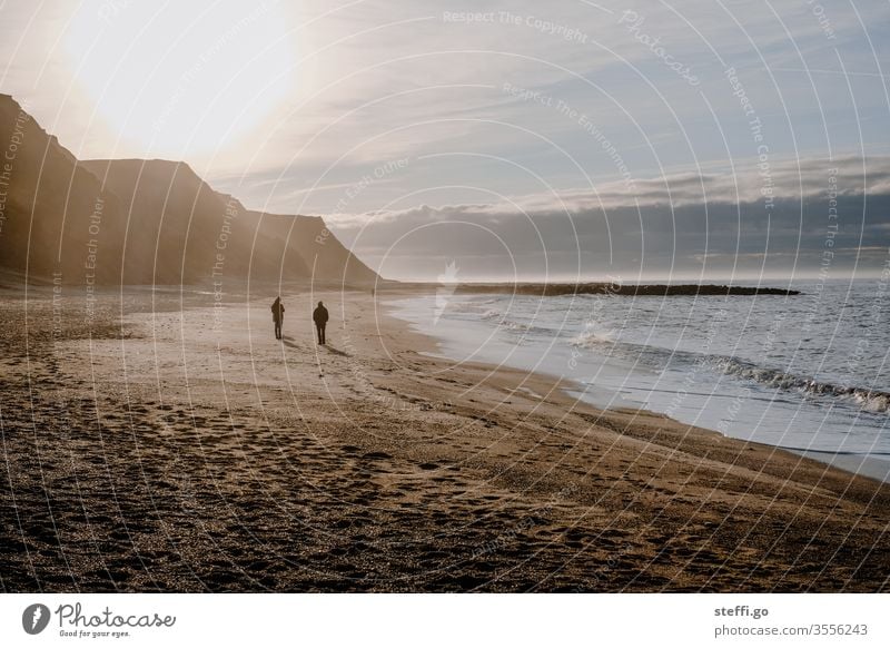 People on the coast of Bovbjerg in Denmark against the light Scandinavia Europe Coast Rock Rocky coastline steep coast cliffs Beach Back-light people