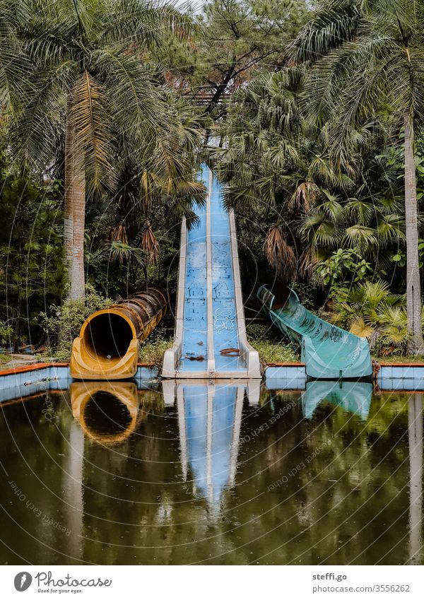abandoned and overgrown water slides in a water park in the jungle with palm trees in Vietnam lost places Hue Asia forsake sb./sth. Old Deserted Colour photo