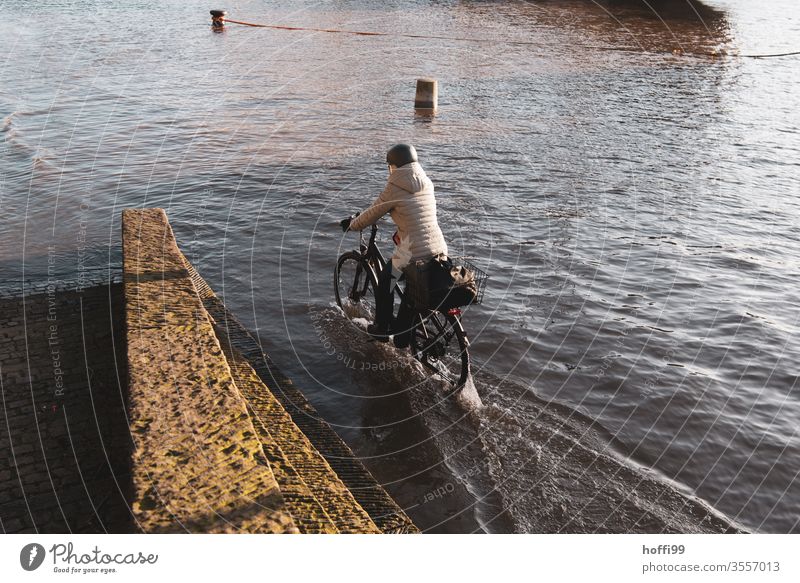 by bicycle through the flood tide Flood Bicycle Wheel Climate change Overwhelmed flood situation heating global warming Environment Weser Ocean Water Landscape